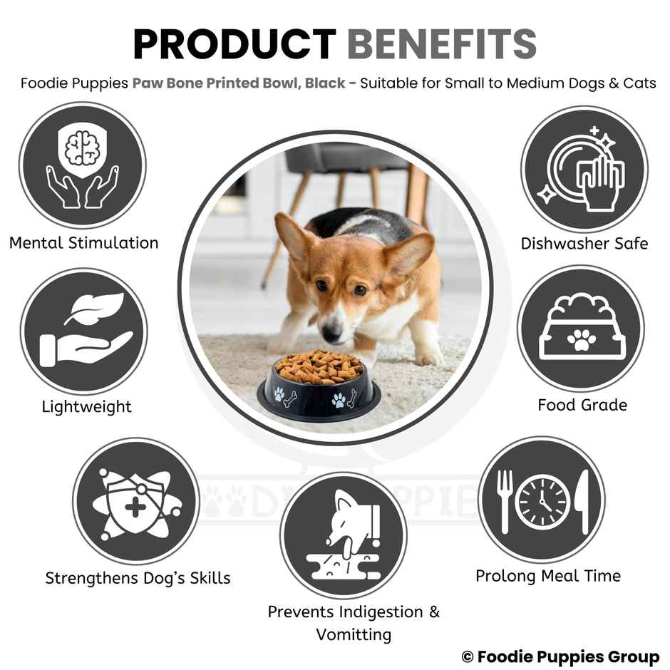 Foodie Puppies Pet Feeding Printed Bowl for Dogs & Cats (Color May Vary)