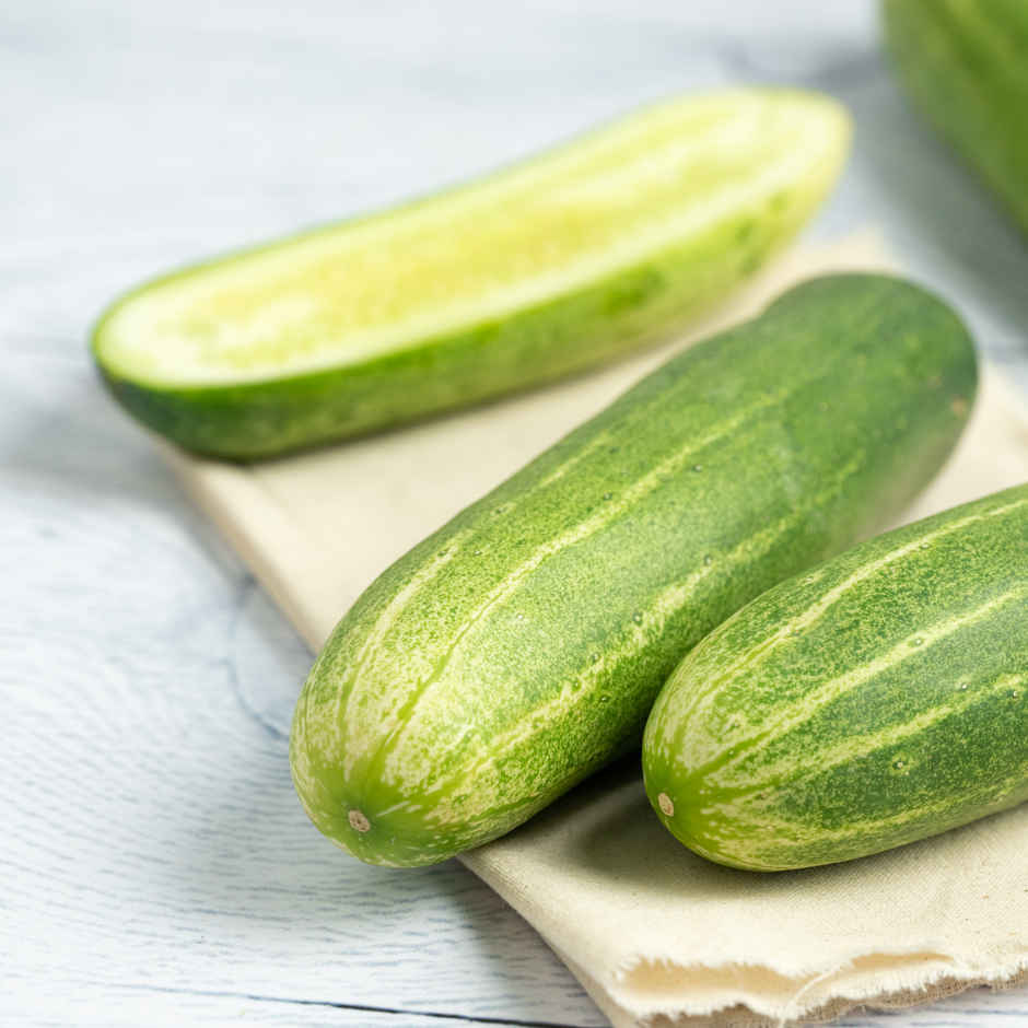 Cucumber Green/Kheera Dosakaya