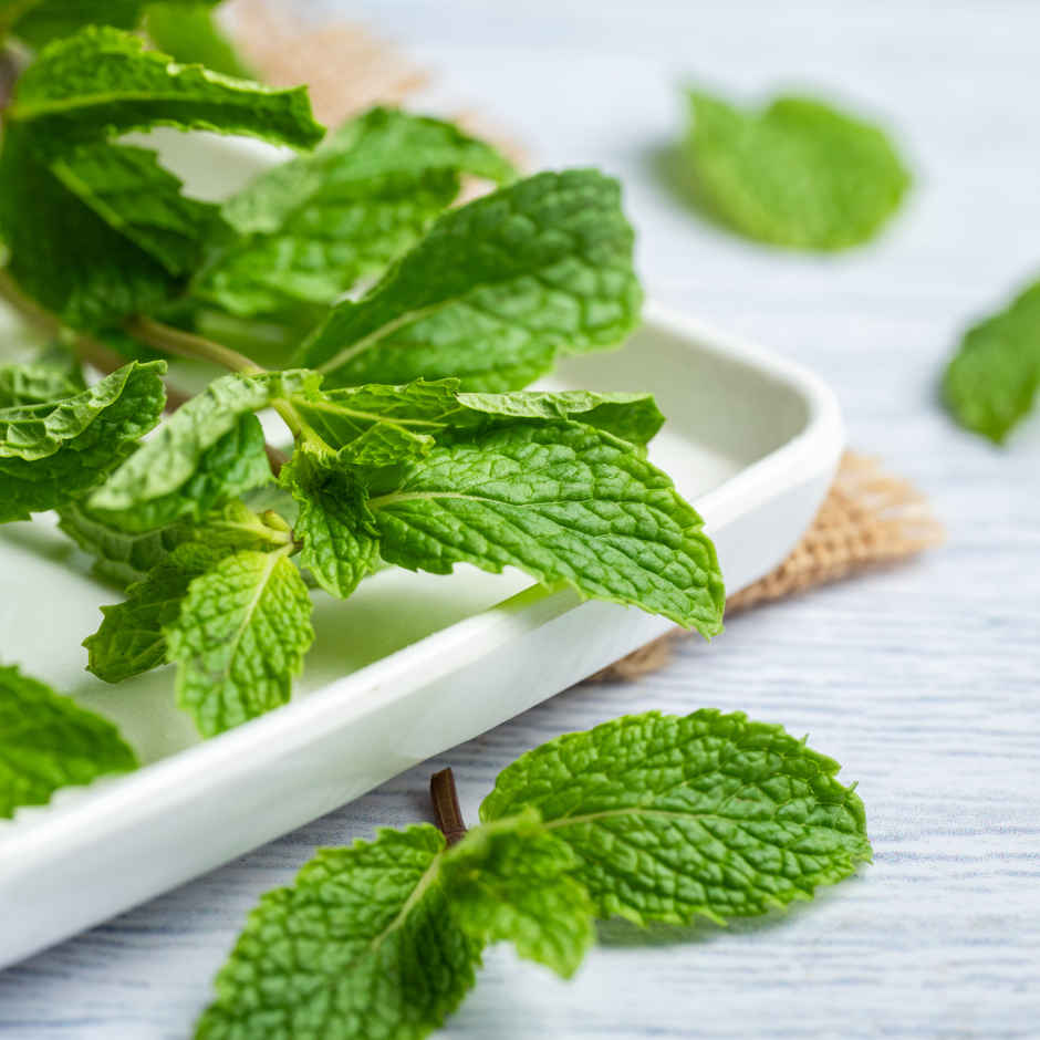 Mint Leaves