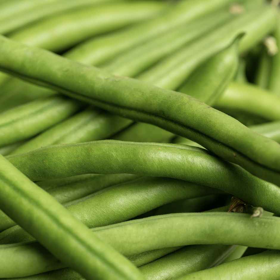 Beans Haricot / Beeniskaya