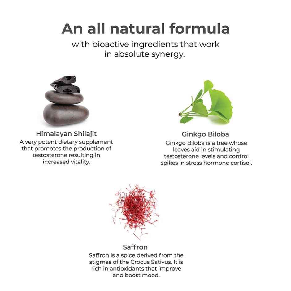 Wellbeing Nutrition Melts Testo Power Testofen, Himalayan Shilajit, Ginkgo Biloba (30 Oral strips)