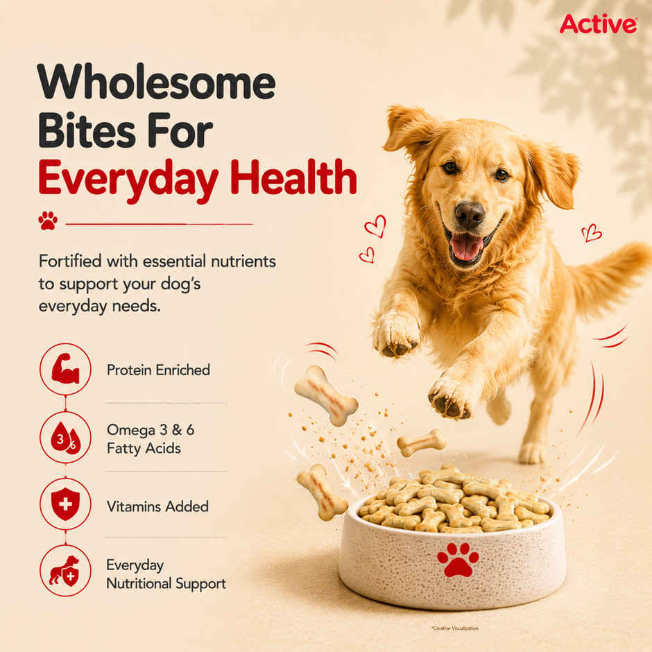 Active Chicken Flavour Biscuits Dog Treat (Buy 1 Get 1 Free)