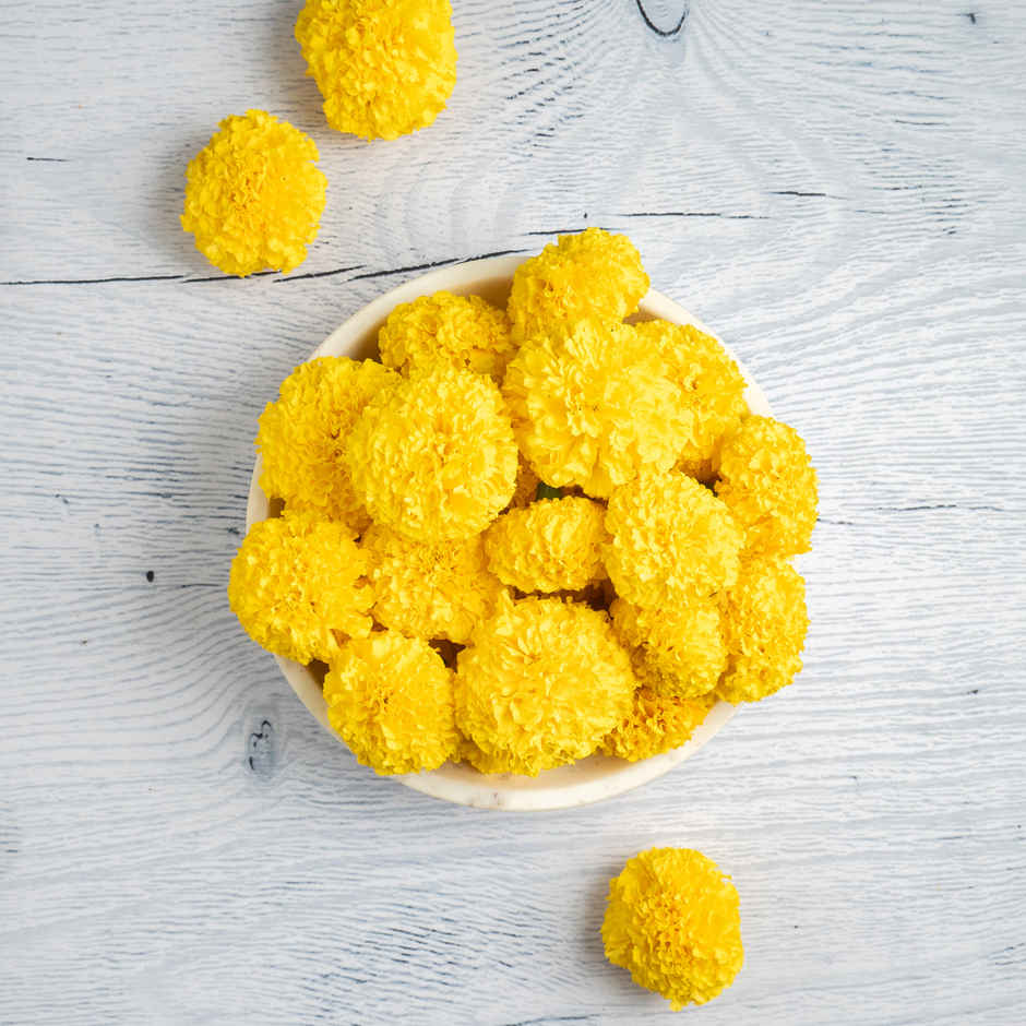 Fresh Marigold Flower Yellow Combo