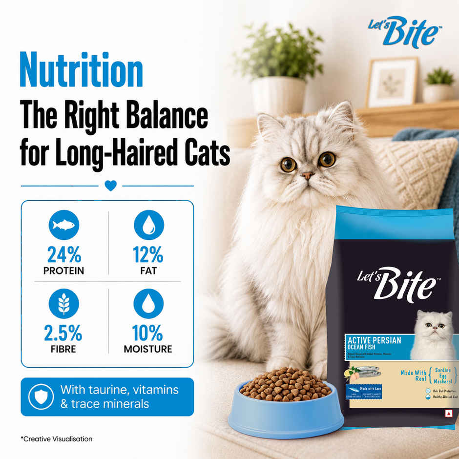 Let's Bite Active Persian Ocean Fish Dry Cat Food (Buy 1 Get 1 Free)