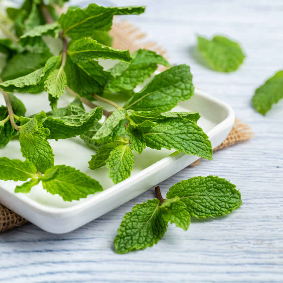 Mint Leaves Combo