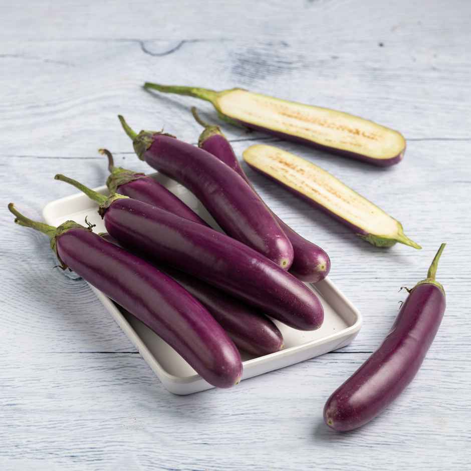 Brinjal Purple Long