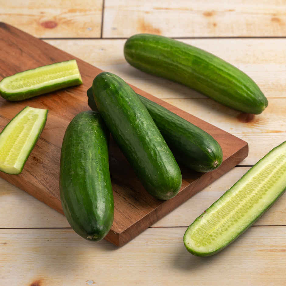 Hydroponic Cucumber English