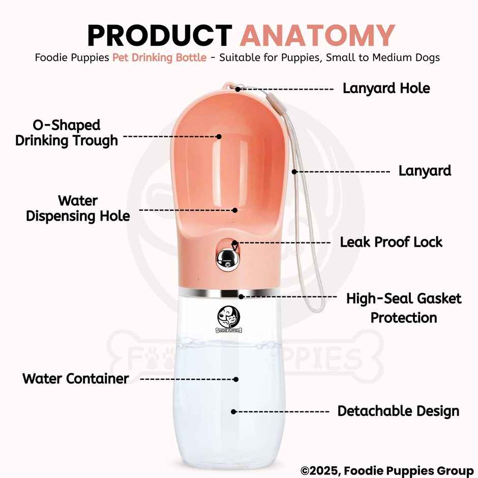 Foodie Puppies Leak-Proof Pet Water Dispenser Bottle for Dogs & Puppies | 500 ml