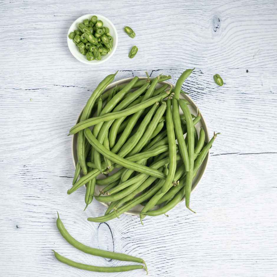 Beans Haricot / Beeniskaya