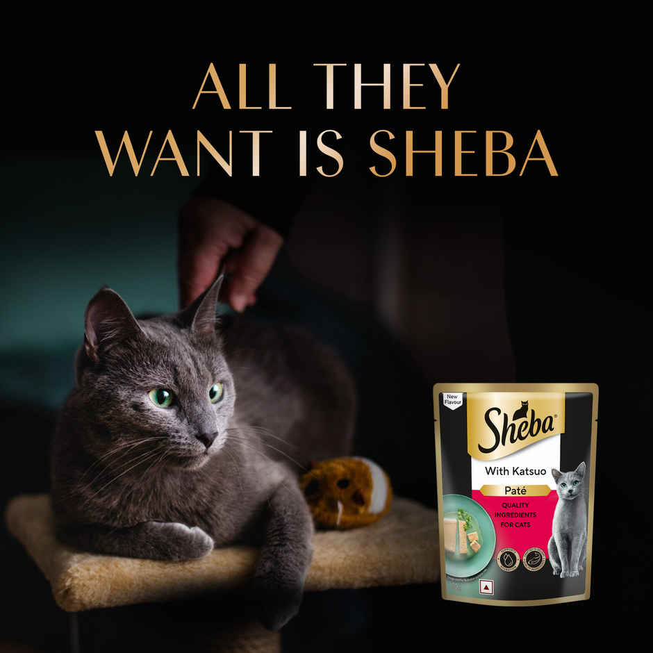 Sheba Pate Adult Wet Cat Food | Katsuo