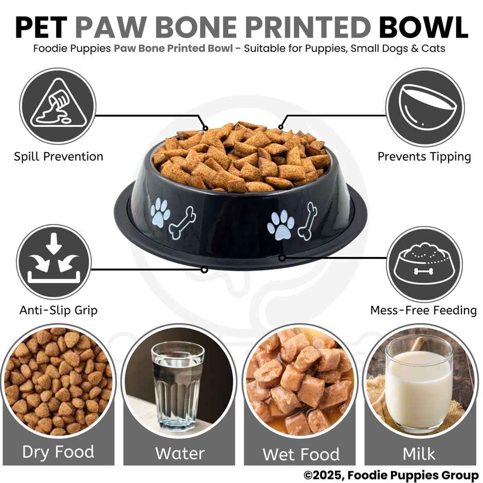 Foodie Puppies Pet Feeding Printed Bowl for Dogs & Cats (Color May Vary)
