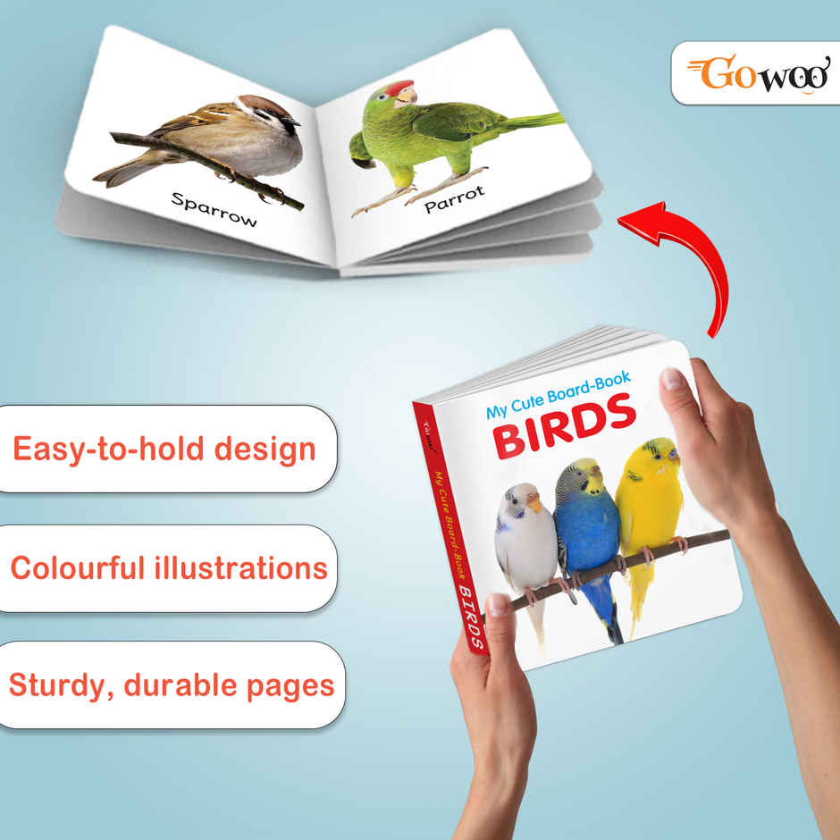 My Cute Board Book Birds | Toddler Learning Picture Book | Pocket Size Educational Book for Kids