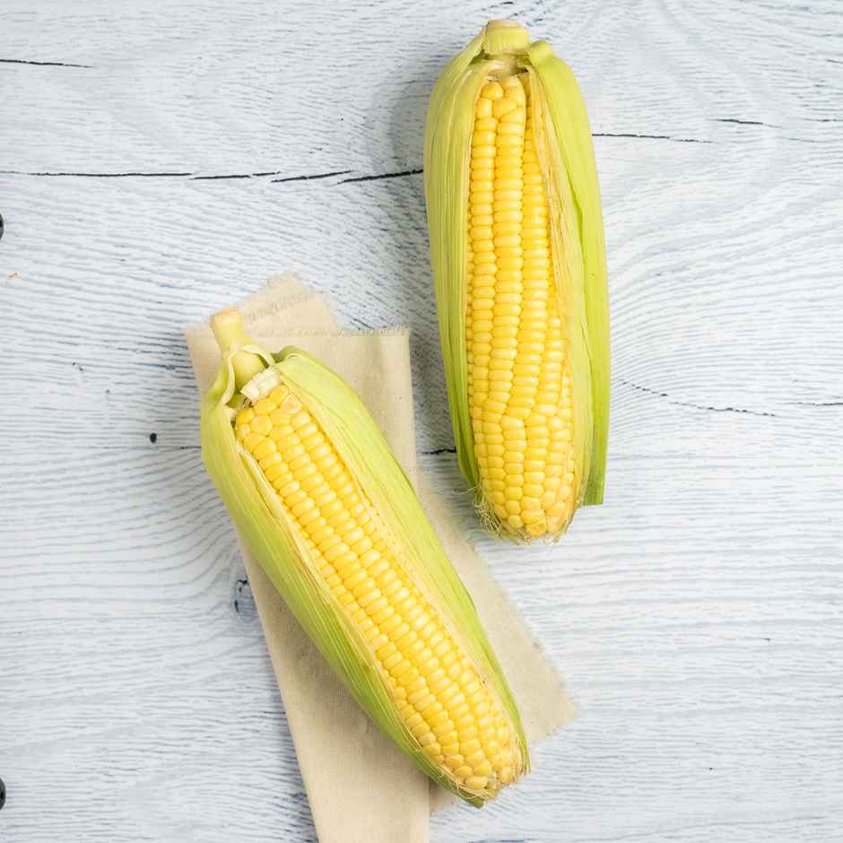Sweet Corn