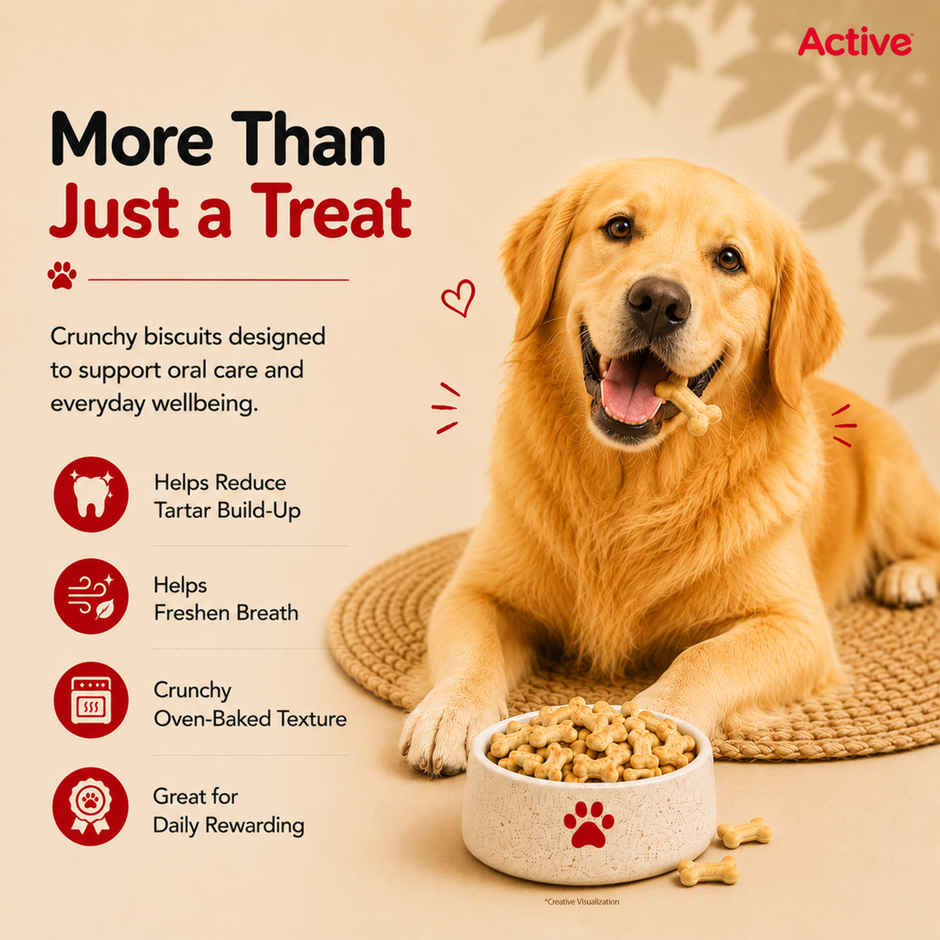 Active Chicken Flavour Biscuits Dog Treat (Buy 1 Get 1 Free)