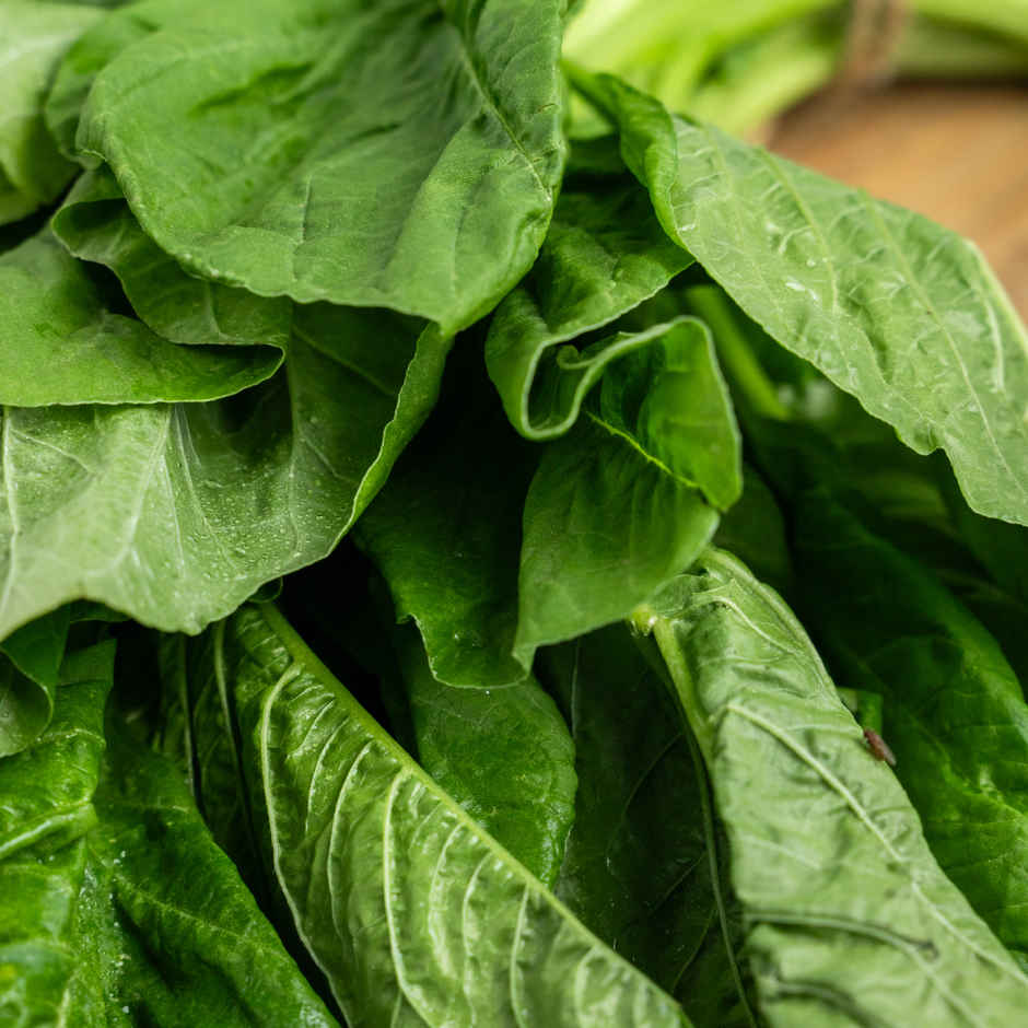 Organically Grown Amaranthus Green