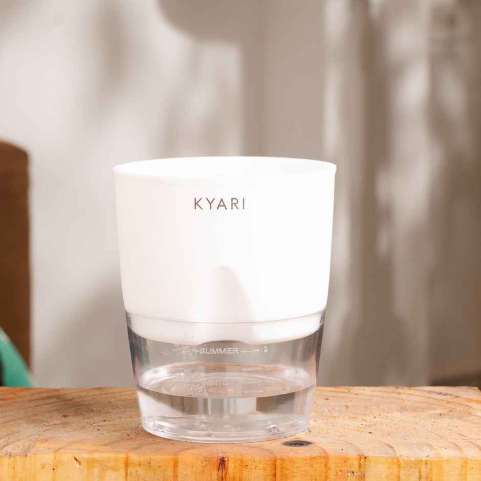 Kyari Self Watering 4 Inch Pot| White | Pack of 1 | Garden Accessory