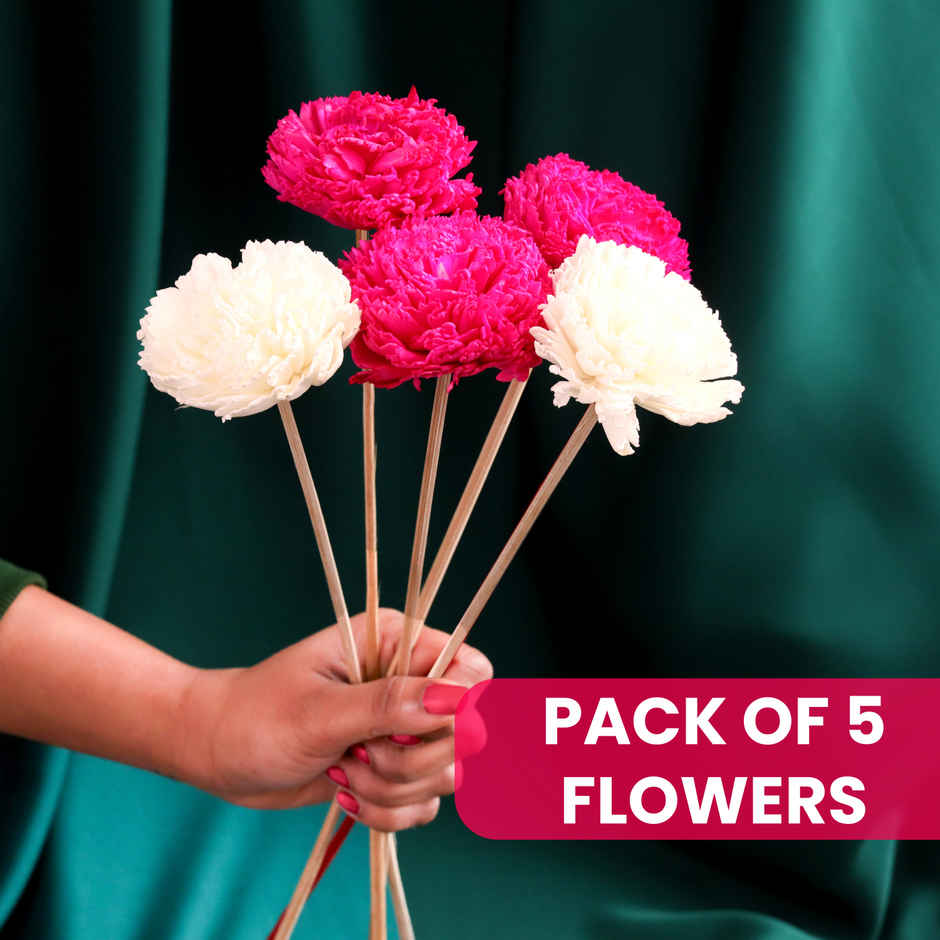Chic Carnations Natural Dried Flowers | Eternal Blooms