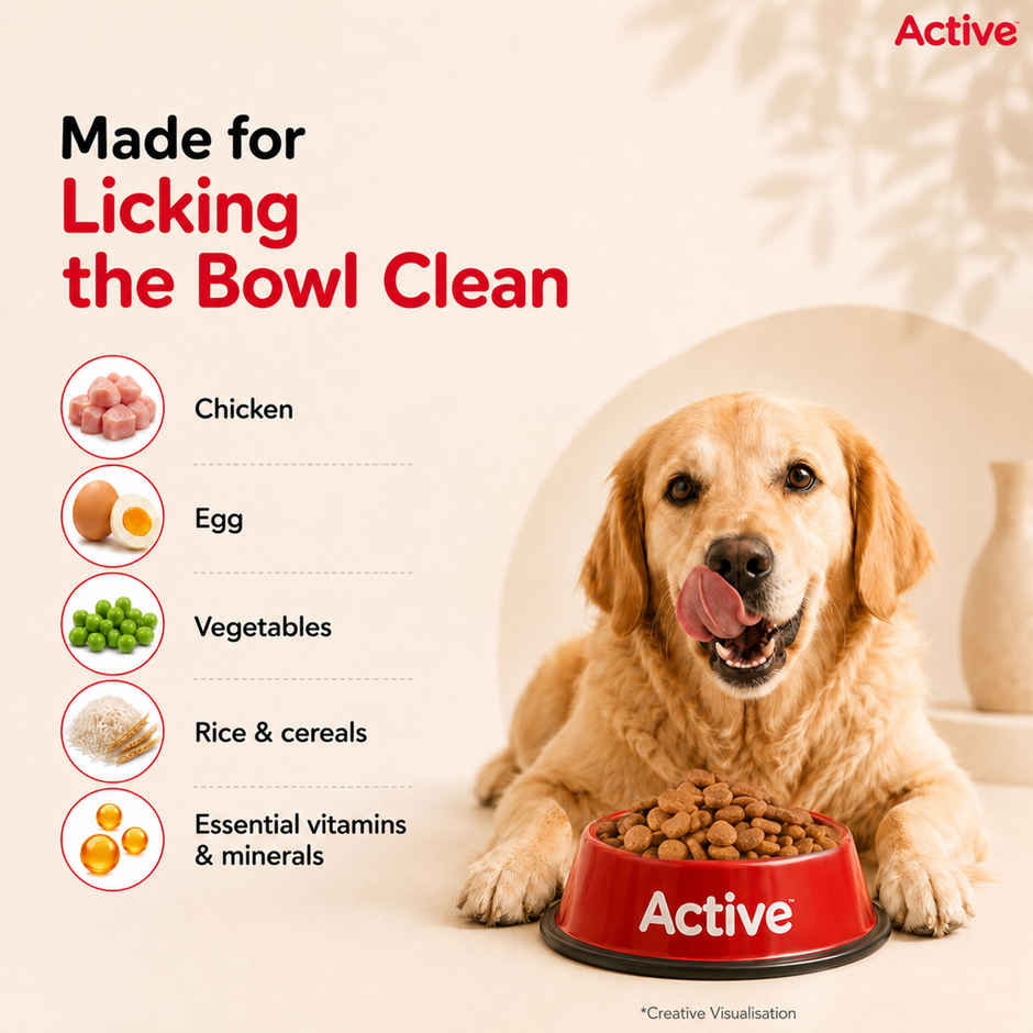 Active Adult Chicken And Vegetables Dry Dog Food