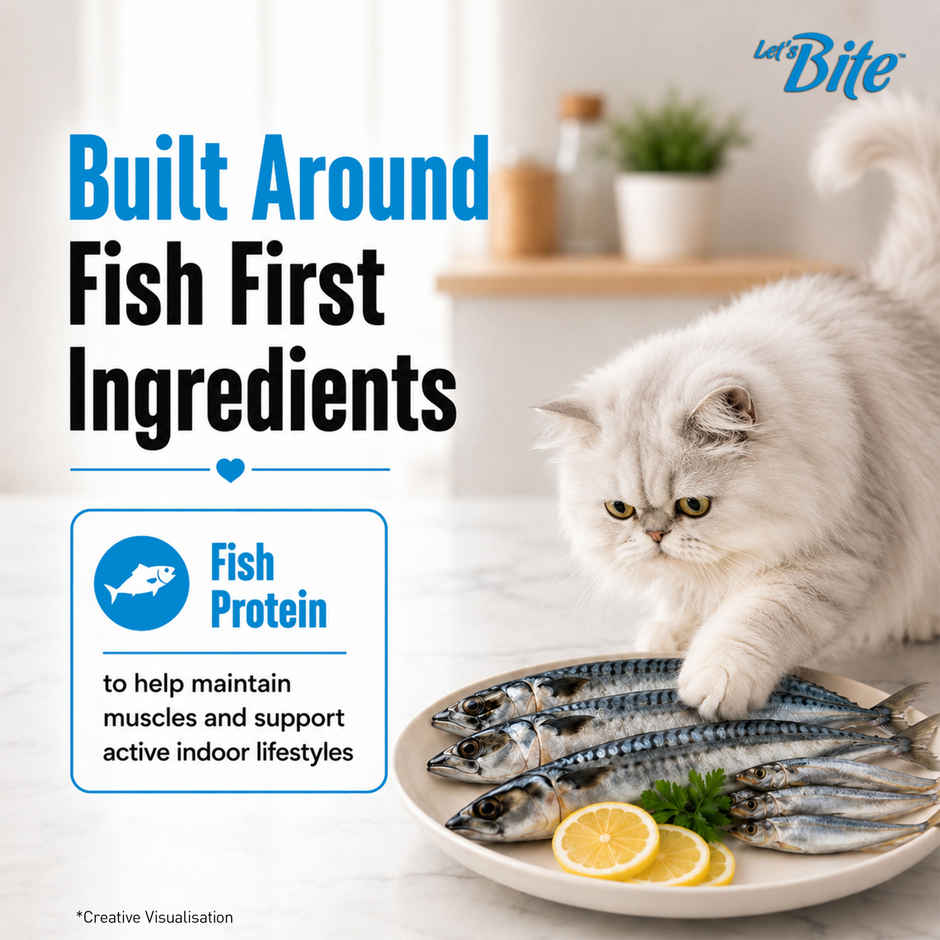 Let's Bite Active Adult Dry Cat Food (Buy 1 Get 1 Free)