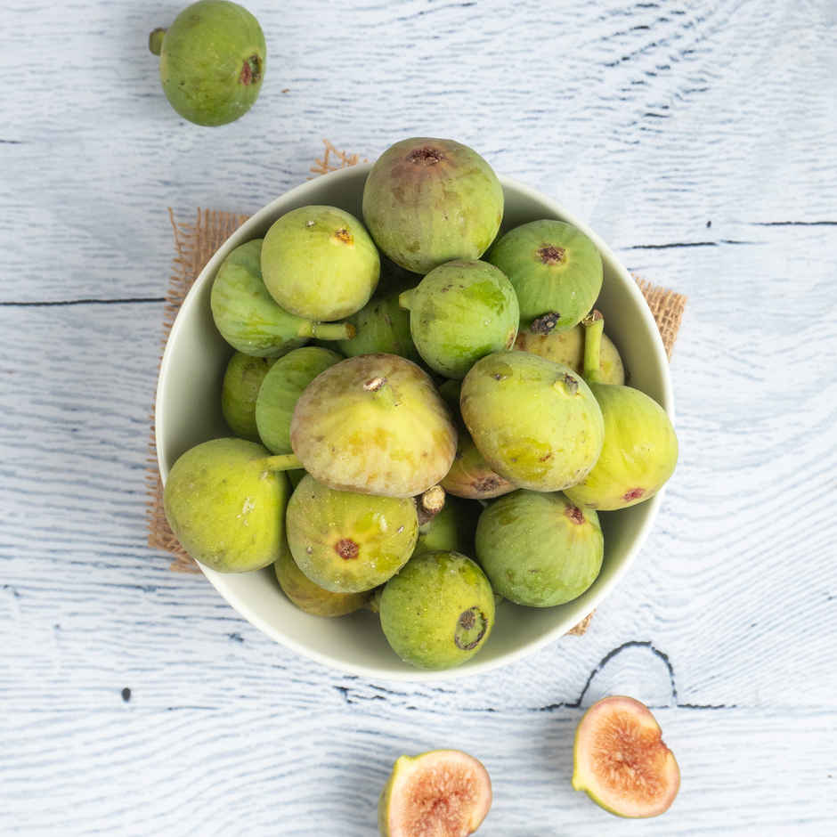 Fig
