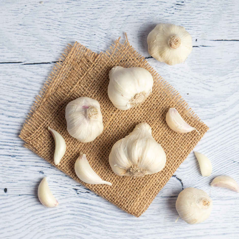 Garlic (Velluli)