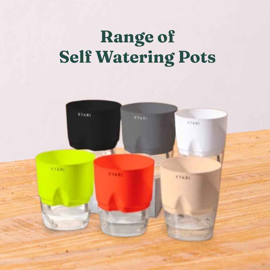 Kyari Self Watering 4 Inch Pot| White | Pack of 1 | Garden Accessory