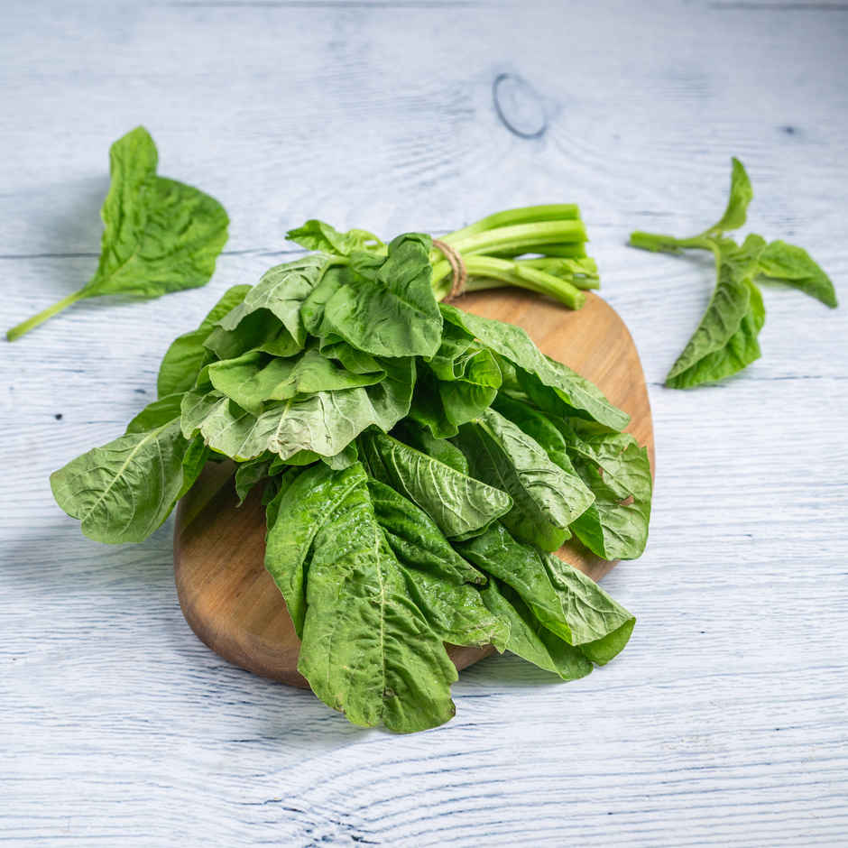 Amaranth Green Leaves