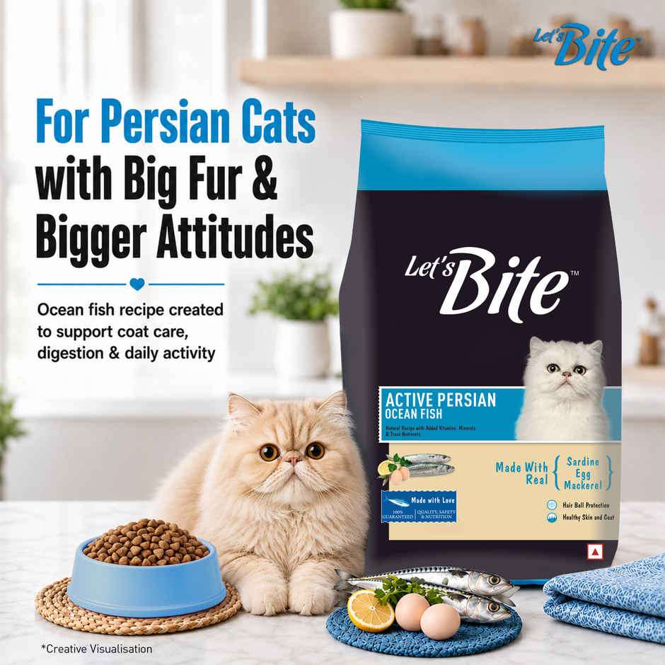 Let's Bite Active Adult Dry Cat Food (Buy 1 Get 1 Free)
