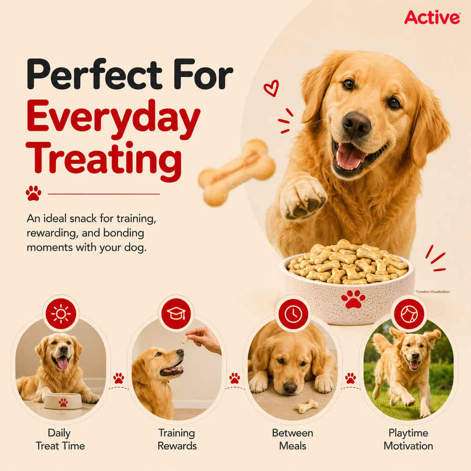 Active Chicken Flavour Biscuits Dog Treat (Buy 1 Get 1 Free)