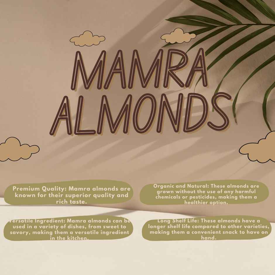Sindhi Dry Fruits Absolutely Pure Iranian Mamra Almonds
