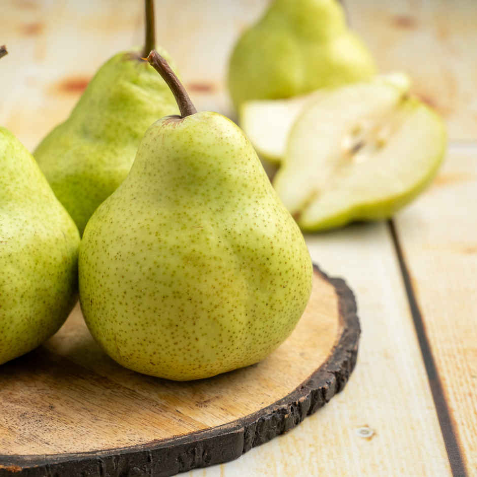 Pear Green Indian (Nashpati)