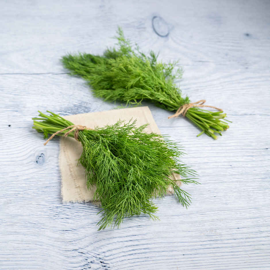 Dill Leaves - Cleaned, without roots