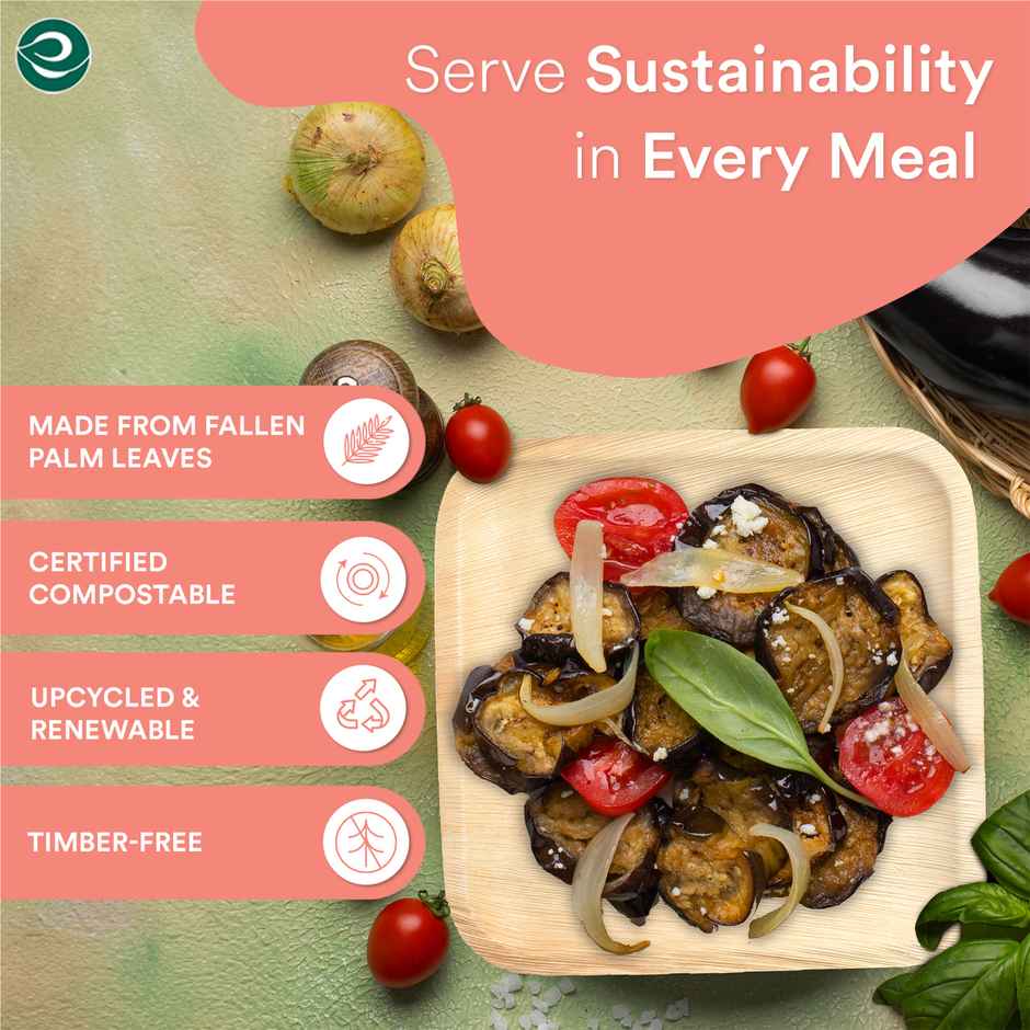 Palm Leaf Plate | Square | 6 inch | 10 Count | Eco Soul