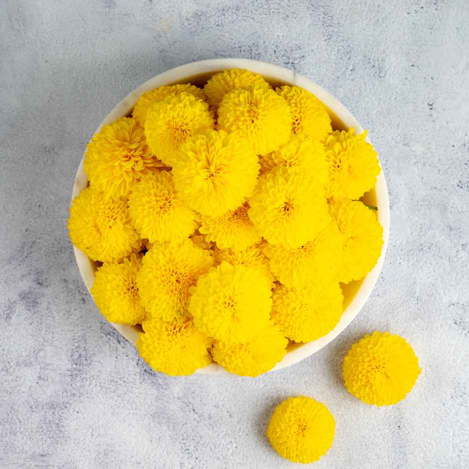 Fresh Shevanthi Yellow Combo