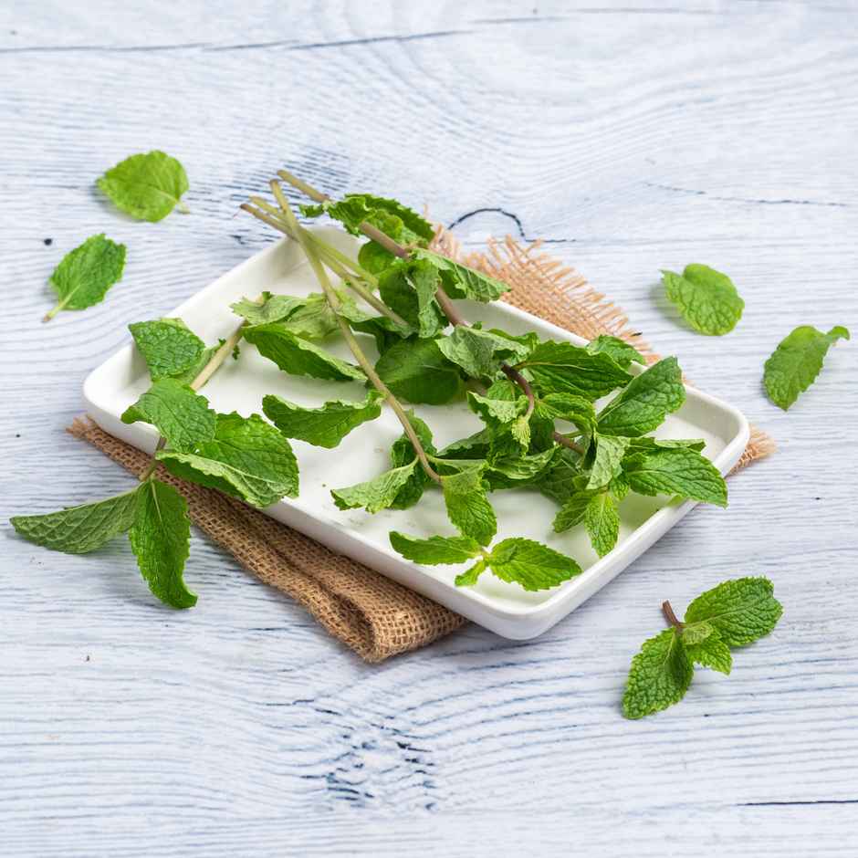 Mint Leaves