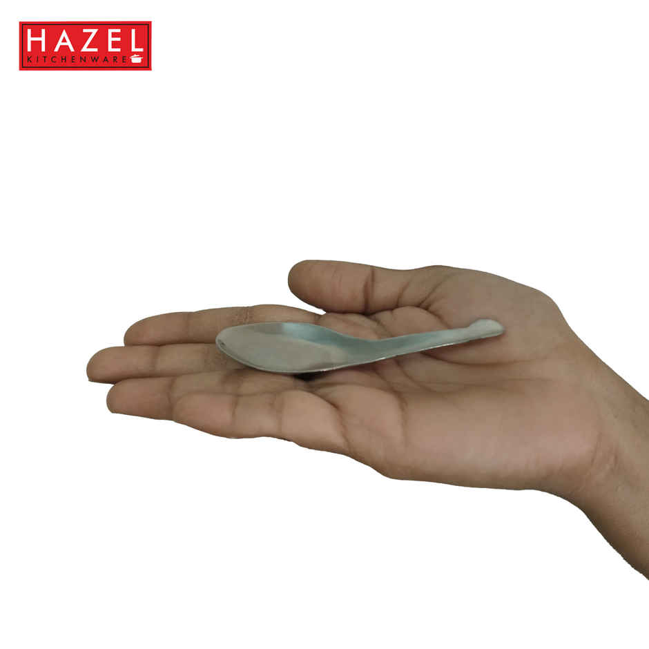 HAZEL Stainless Steel Mini Masala Spoons for Spices & Condiments - Set of 12