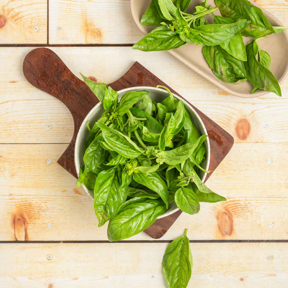Basil Combo