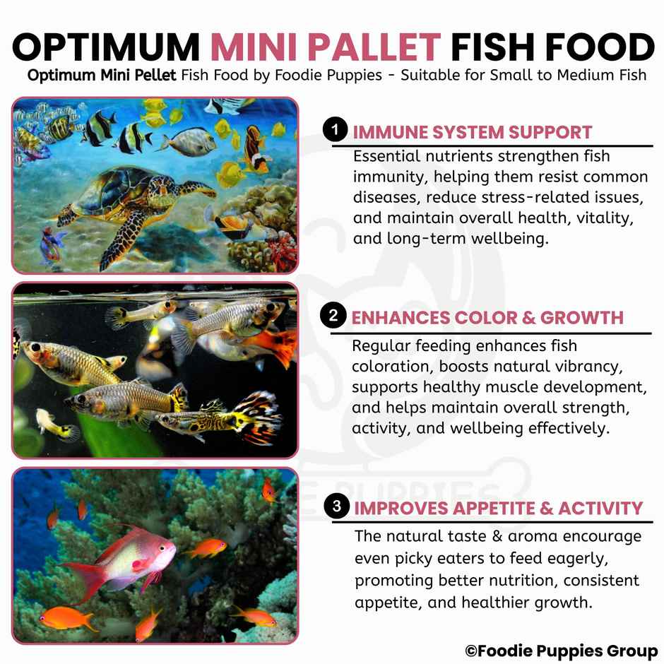 Foodie Puppies Mini Pellet Fish Food for Aquarium Fish