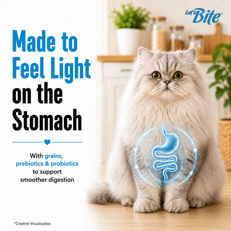 Let's Bite Active Adult Dry Cat Food (Buy 1 Get 1 Free)