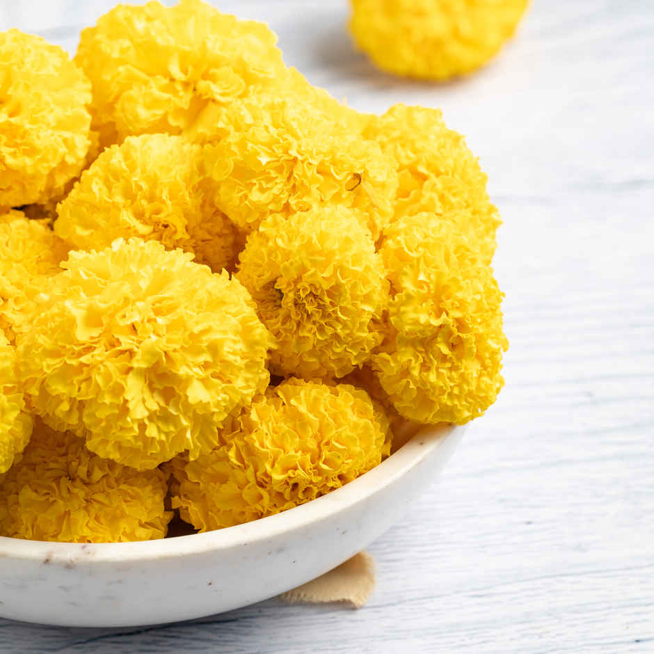 Fresh Marigold Flower Yellow Combo