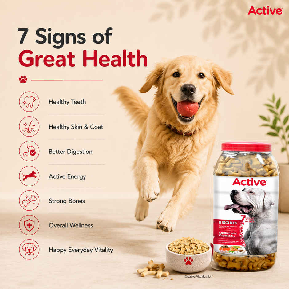 Active Chicken Flavour Biscuits Dog Treat (Buy 1 Get 1 Free)
