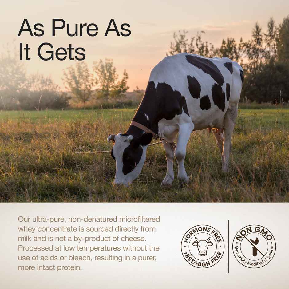 Wellbeing Nutrition 100% Raw Whey Protein Concentrate - Unflavoured | 27G Protein - 12.7G EAA