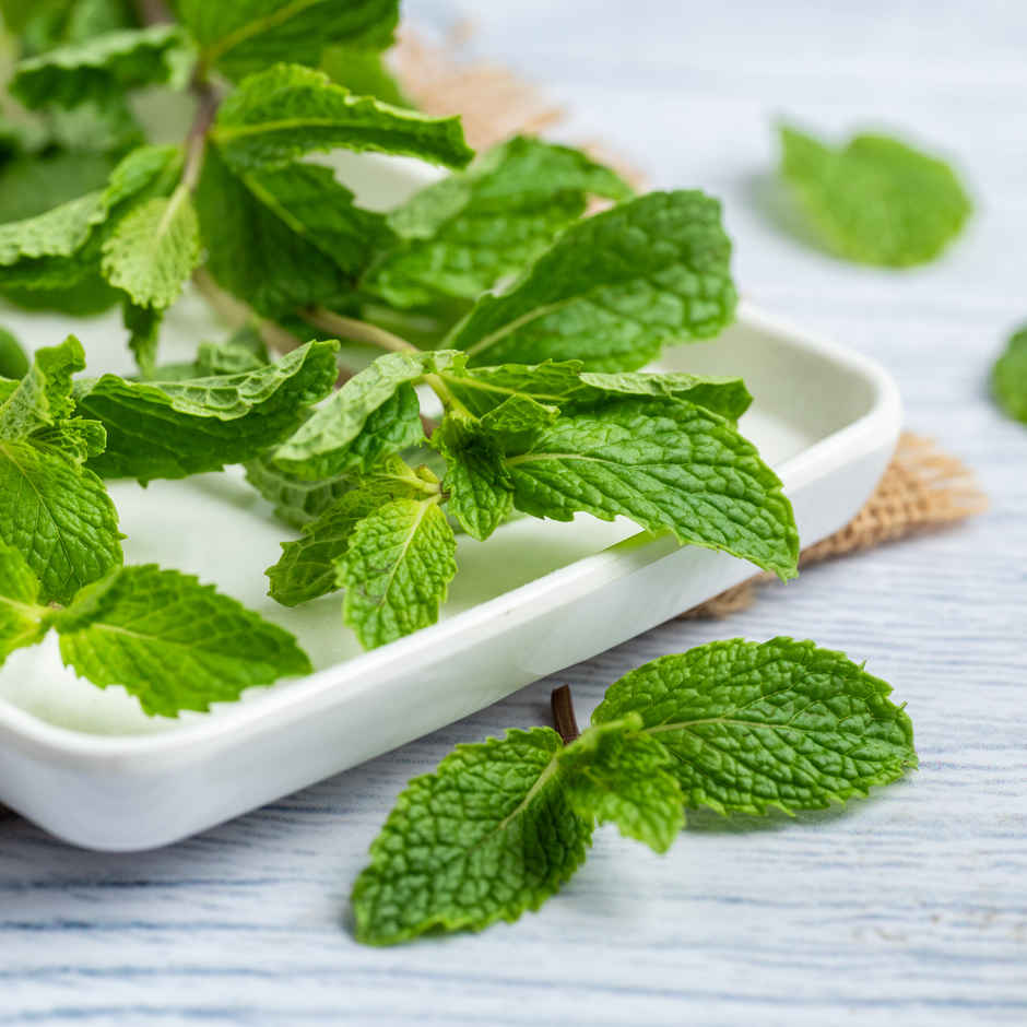 Mint Leaves