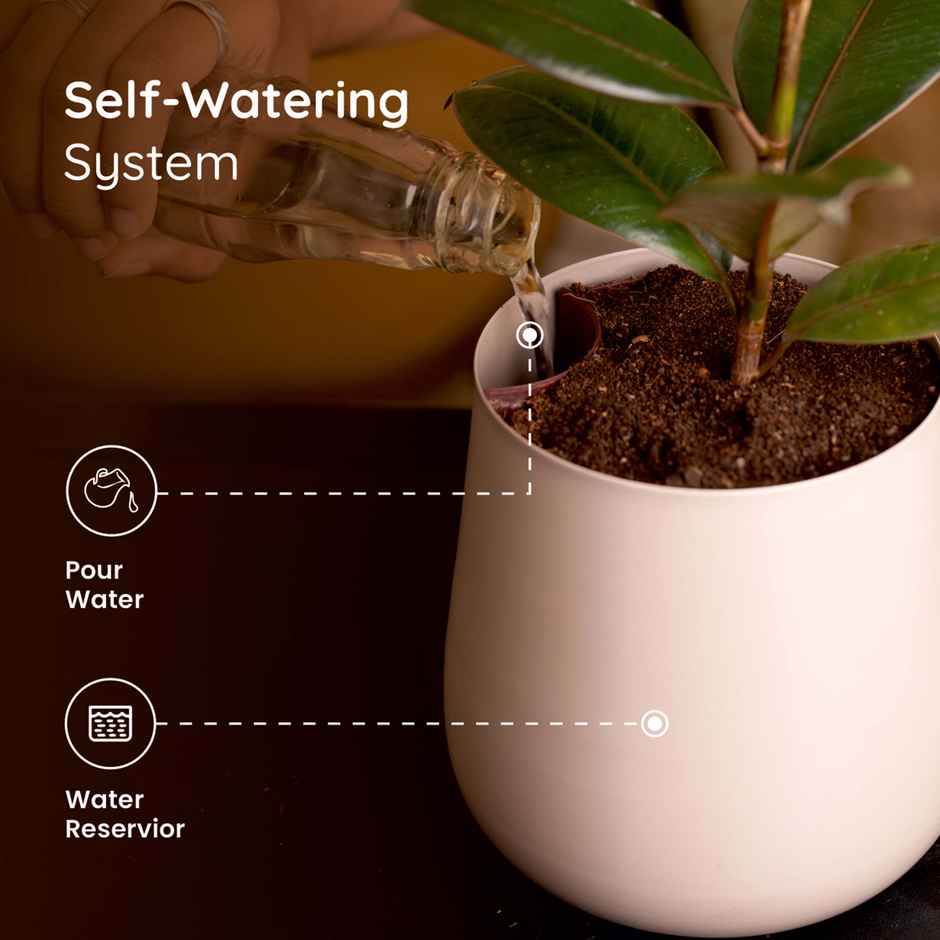 Kyari Aura Metal Planter | 6 Inch | Pack of 1 | Cream | Garden Accessory