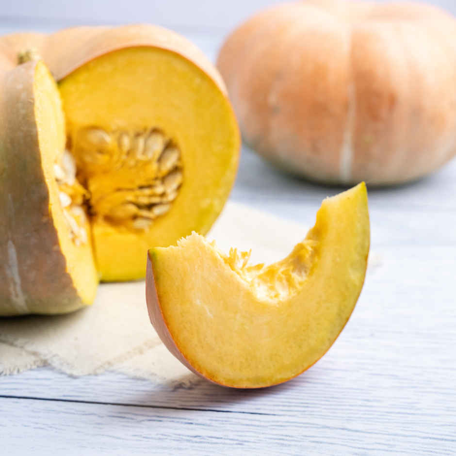 Pumpkin Disco (Lal Bhopala)