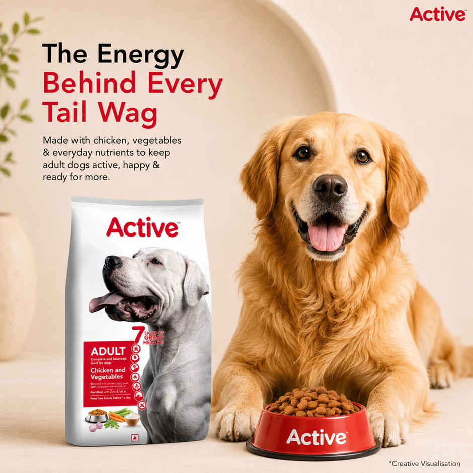 Active Adult Chicken And Vegetables Dry Dog Food