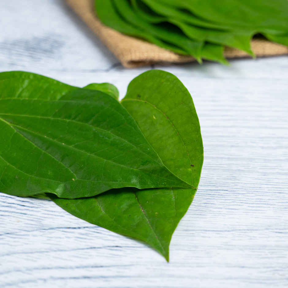 Betel Leaves (Paan)
