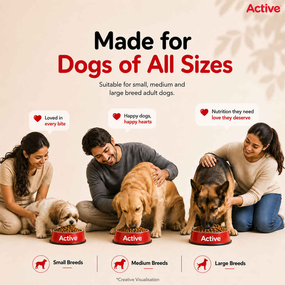 Active Adult Chicken And Vegetables Dry Dog Food