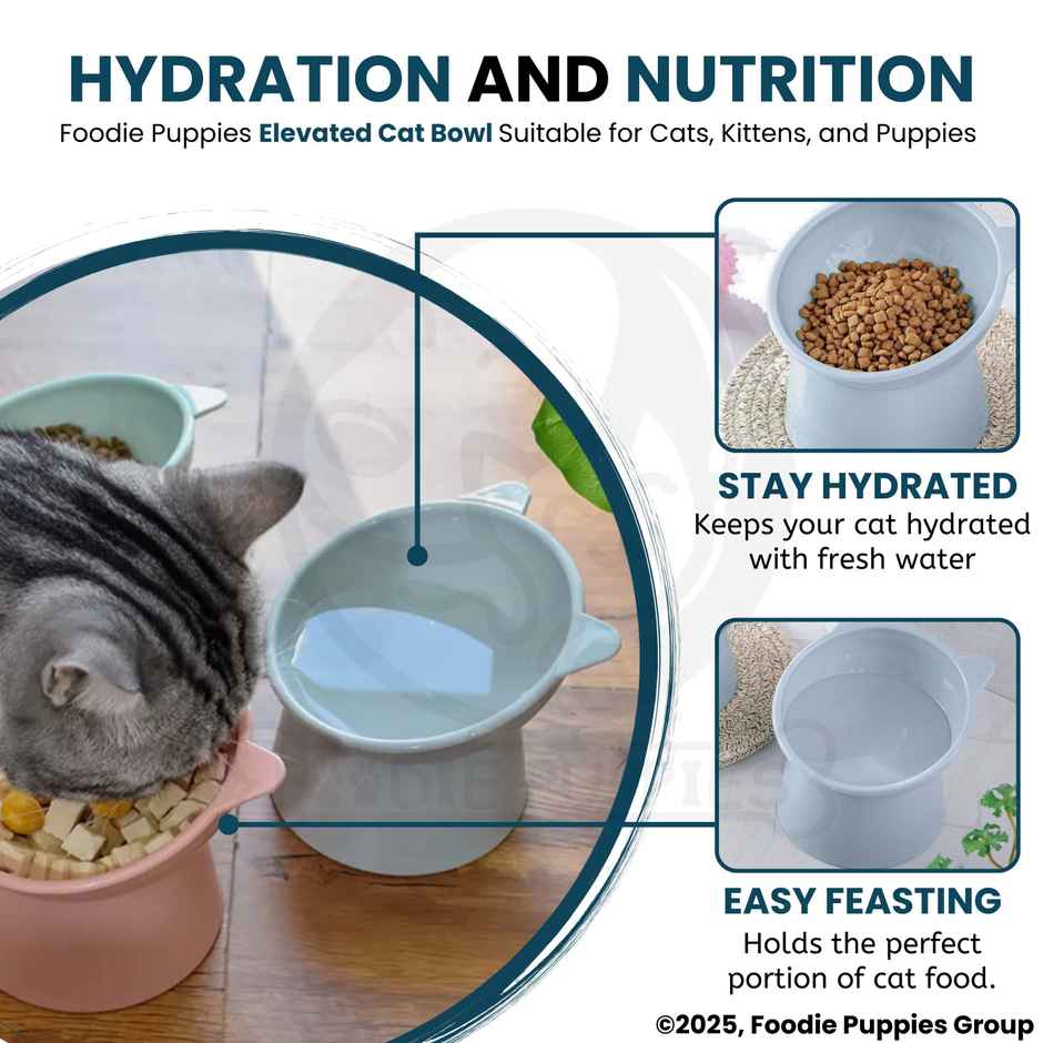 Foodie Puppies Elevated Pet Bowl 45 Degree Tilted Anti Vomiting Feeder