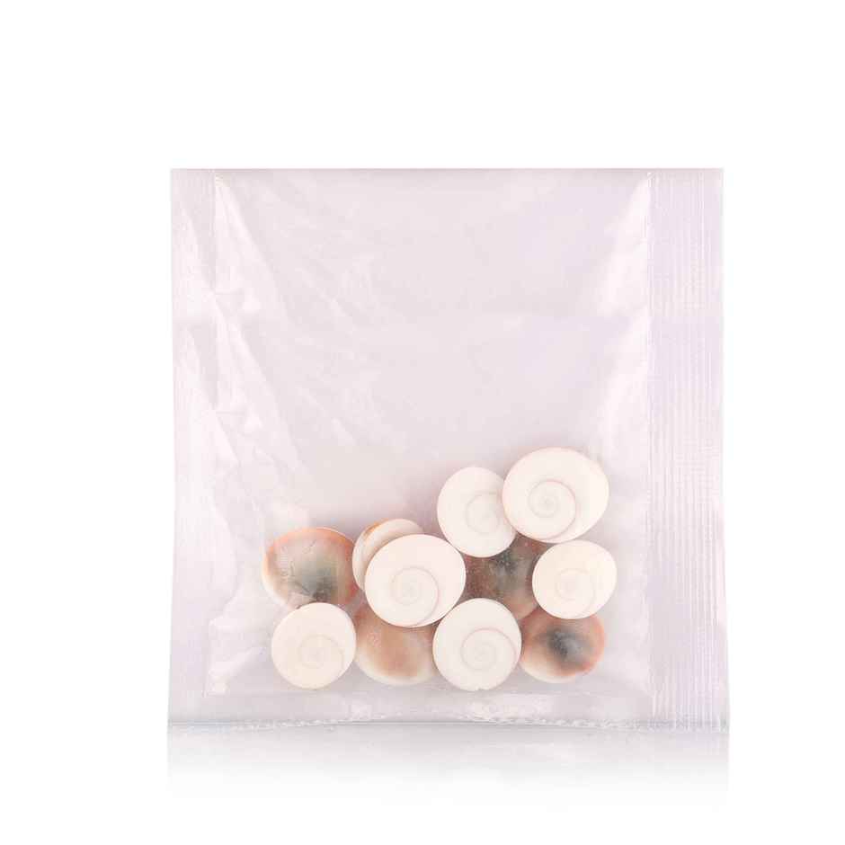 Gomati Chakra | Pack of 11 | Auspicious Buy | Cycle